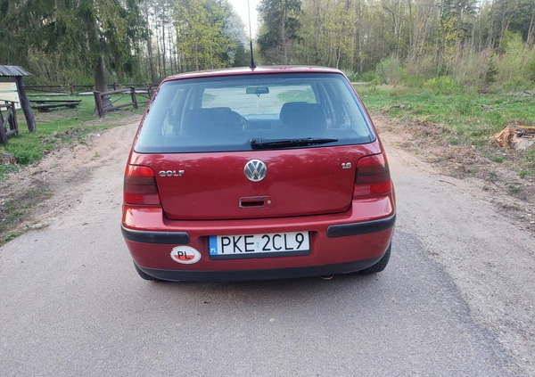 Volkswagen Golf cena 6100 przebieg: 187000, rok produkcji 1998 z Żukowo małe 466